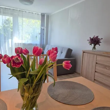 Appartement Spacerem Nad Morze *